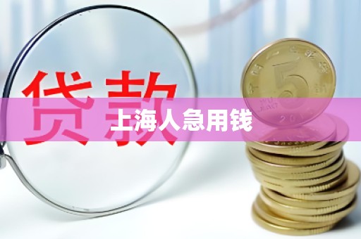 上海人急用钱