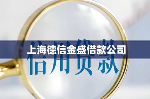  上海德信金盛借款公司