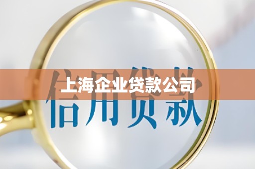 上海企业贷款公司