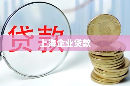 上海企业贷款